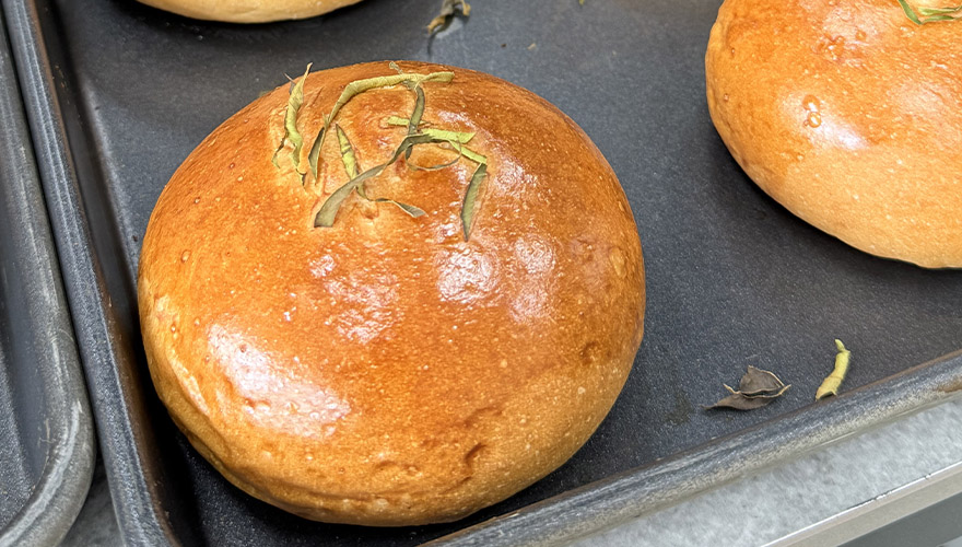 1761377550470051.jpg 大3.jpg